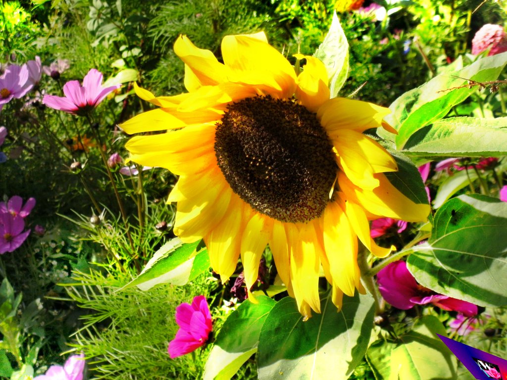 Good  night  to all.