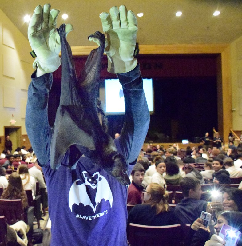 FultonMorrell's tweet photo. Thank you @RobMies and @kskennard for the cool bat presentation at Fulton Friday #savethebats #FultonScience #FultonFamily @fultonprincipal https://t.co/aJv0i3iyHB