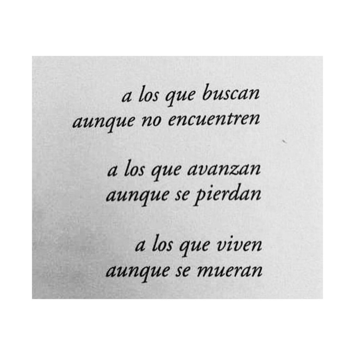 BisVincitArg's tweet photo. A los que siempre vamos adelante⚡️

#whatmovesyoursoul ? https://t.co/5TMpD1Aeqx