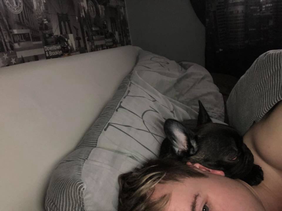 rhys_angwin's tweet photo. Can’t believe Kylo sleeps on my neck like Nala used to do when she was a puppy but there’s a bit of a difference in size haha 🤣🤣 #puppys https://t.co/VMXsQQpPLE