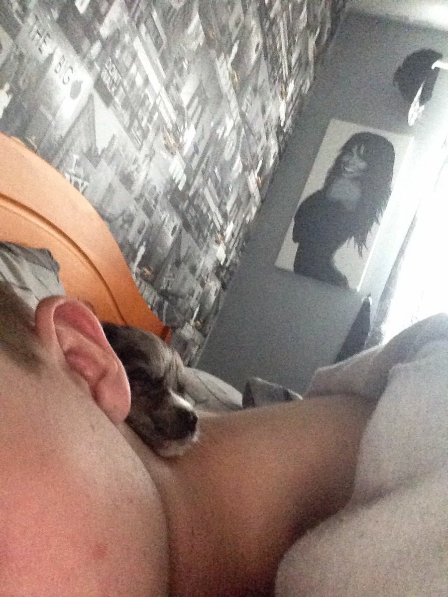 rhys_angwin's tweet photo. Can’t believe Kylo sleeps on my neck like Nala used to do when she was a puppy but there’s a bit of a difference in size haha 🤣🤣 #puppys https://t.co/VMXsQQpPLE