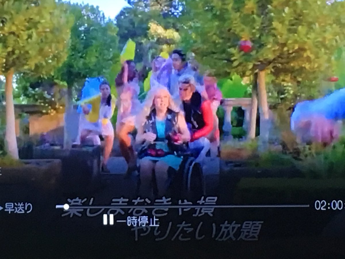 ディセンダ ント 車椅子