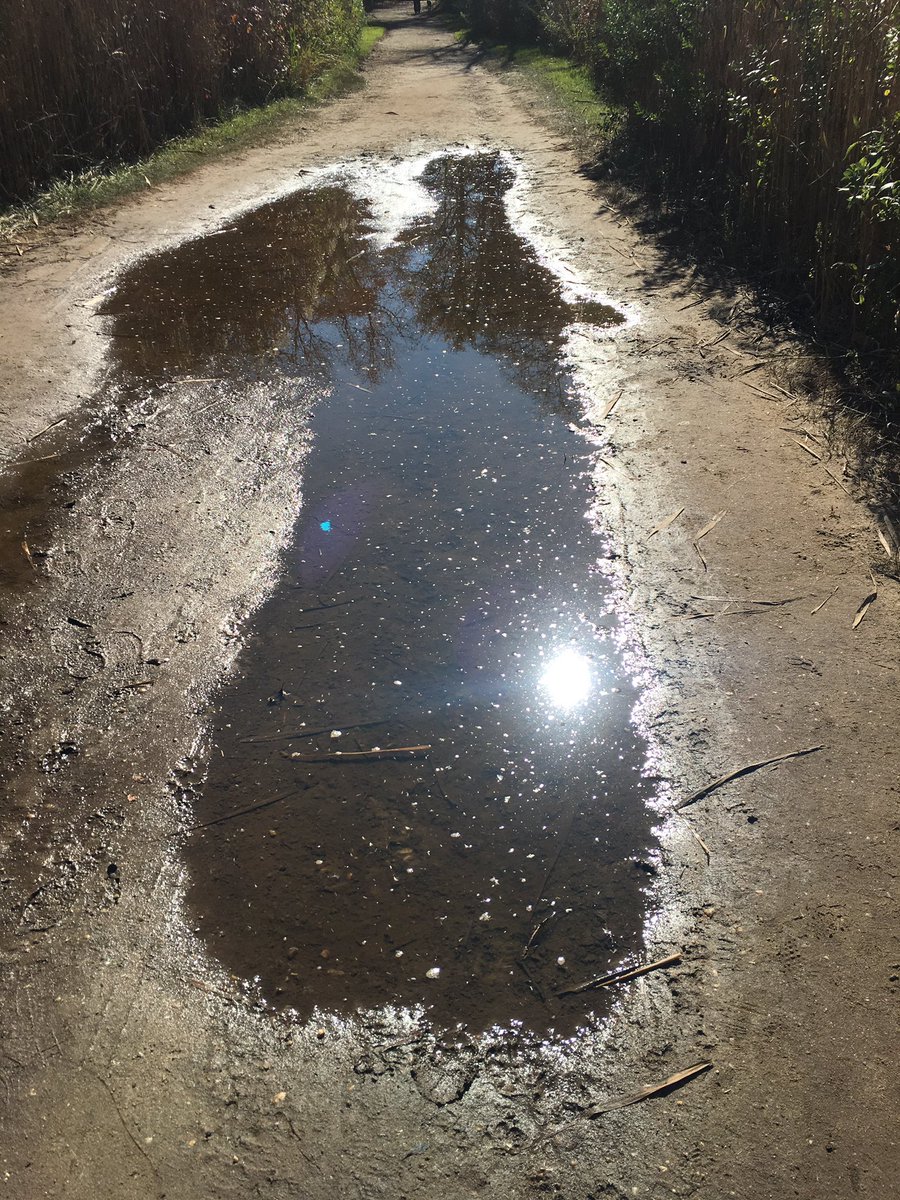 Kearney_Kids's tweet photo. You know it's going to be an #amazing #weekend when even the puddles send you #blessings ! #bracciagirls #sistersweekend #nickyboy #angels 😇 https://t.co/TTfhdJVzjX