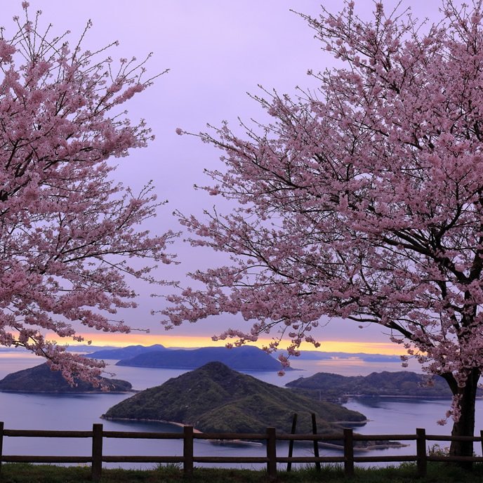 Japanin_jp's tweet photo. Mt. Shiude
©Mitoyo City
https://t.co/UZ6kEU14NE
#traveljapan #lovejapan #japantrip #japantravel #japanlove #japan2017 #japanin #japanese #kagawa #ibaracity https://t.co/dZP62Y0biv