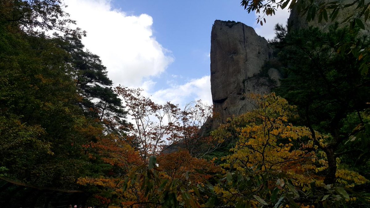 전국단풍지도보고
단풍찾으면 작은코라도 
다쳐요 ㅎㅎ
주왕산
단풍보러갔다가 
인풍만보고왔네