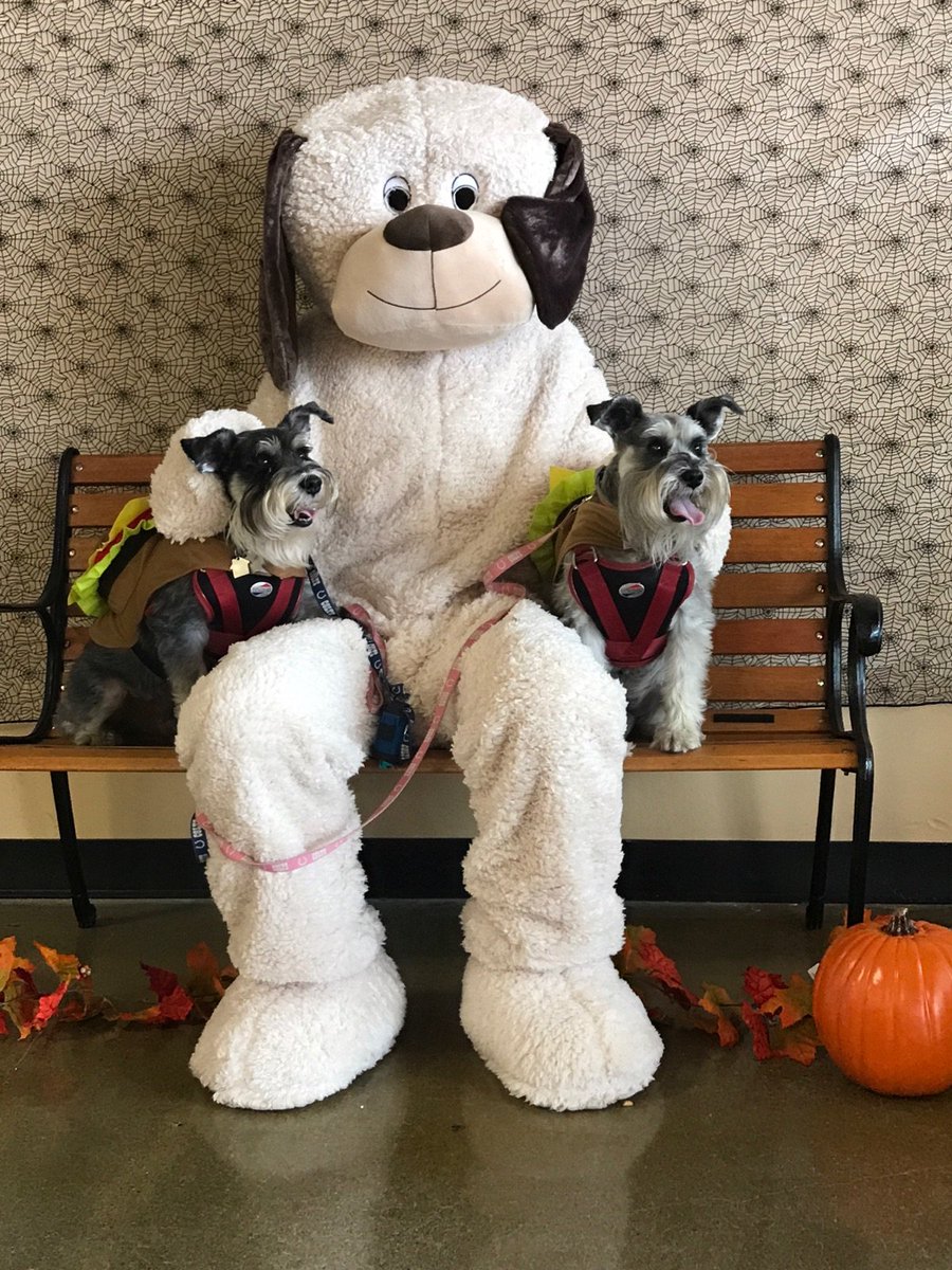 EWashPetsmart's tweet photo. Pictures with Chance was a success here at petsmart east Indy! # Petsmartevents https://t.co/7AmVDSkCJO