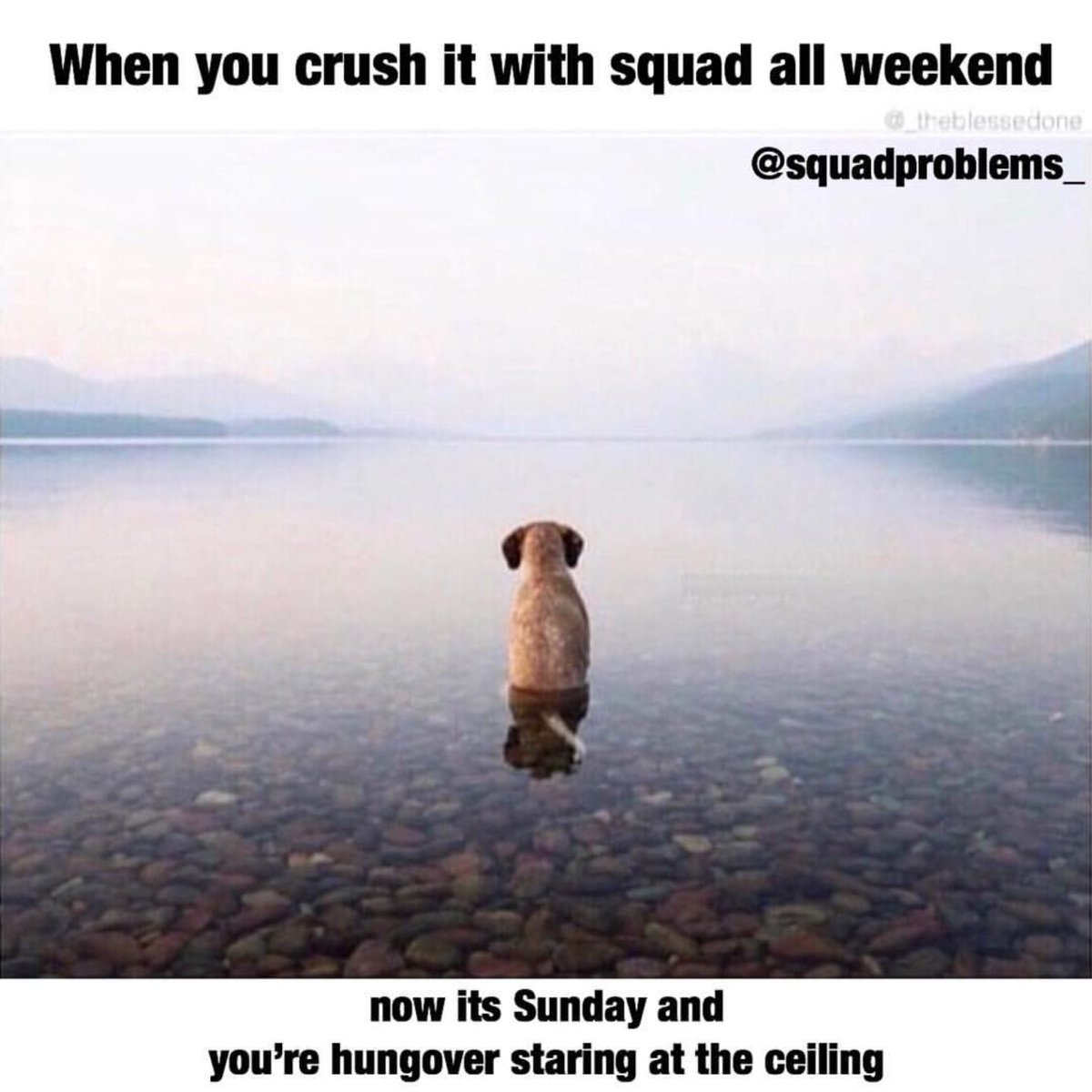 Squadproblems_'s tweet photo. Monday morning boutta be a dick punch #squadproblems https://t.co/KvZaMyxzMV