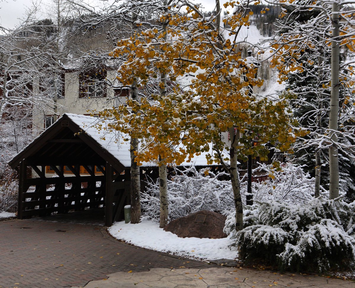 vailmtn's tweet photo. Pretty soon you’ll be walking across the covered bridge, skis &amp; snowboards in hand. #VailSnow https://t.co/5P1mwANt9O