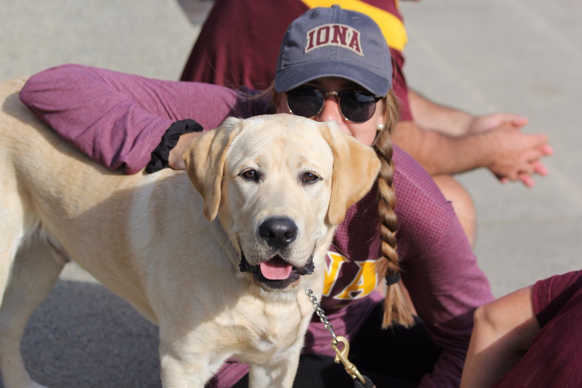 RichBecker518's tweet photo. A girl and her dog - OK, a girl and her sister's roommate's dog. Sorry, @kierstenb02, this is as close as it gets. #HiMurphy https://t.co/5guGNMS2kN