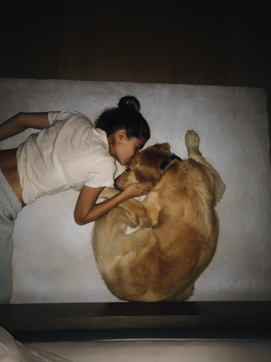 oliviajadee's tweet photo. puppy love always https://t.co/WxHI6RqXKi