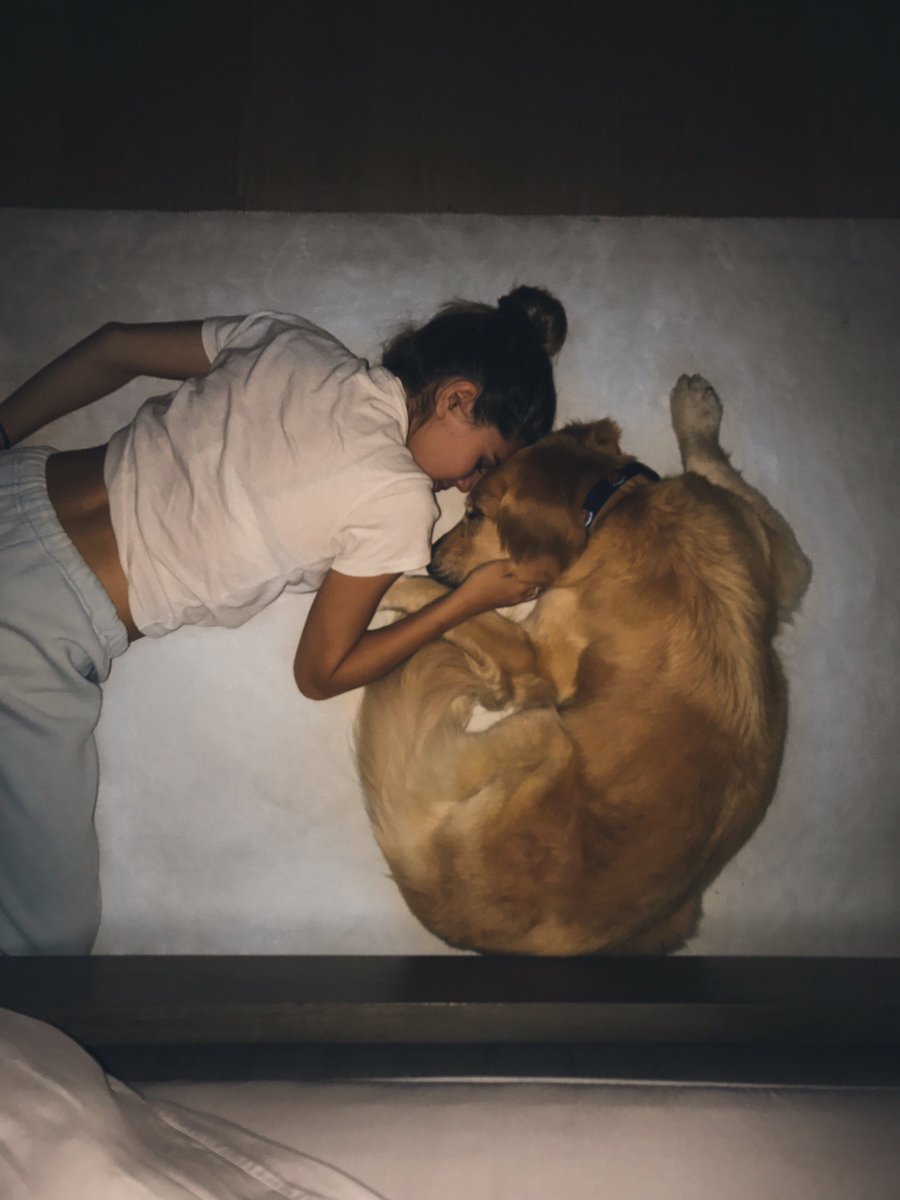 oliviajadee's tweet photo. puppy love always https://t.co/WxHI6RqXKi