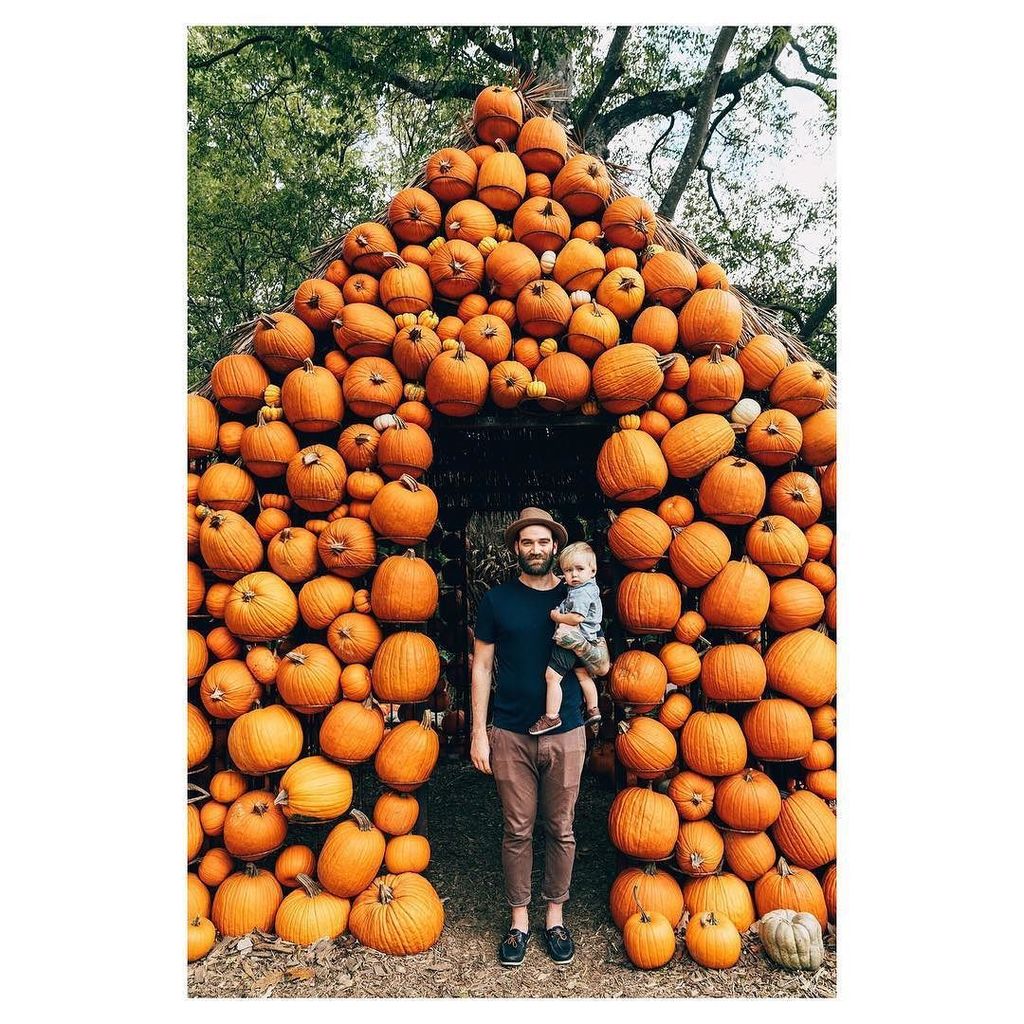 theexplorerdad's tweet photo. Pretty much every photo I take, except with a pumpkin house. #WHPperfectpair .
.
.
.
.
.
#nashvilletn #nashville #… https://t.co/bOuEaoTs33 https://t.co/u8BU276VPk
