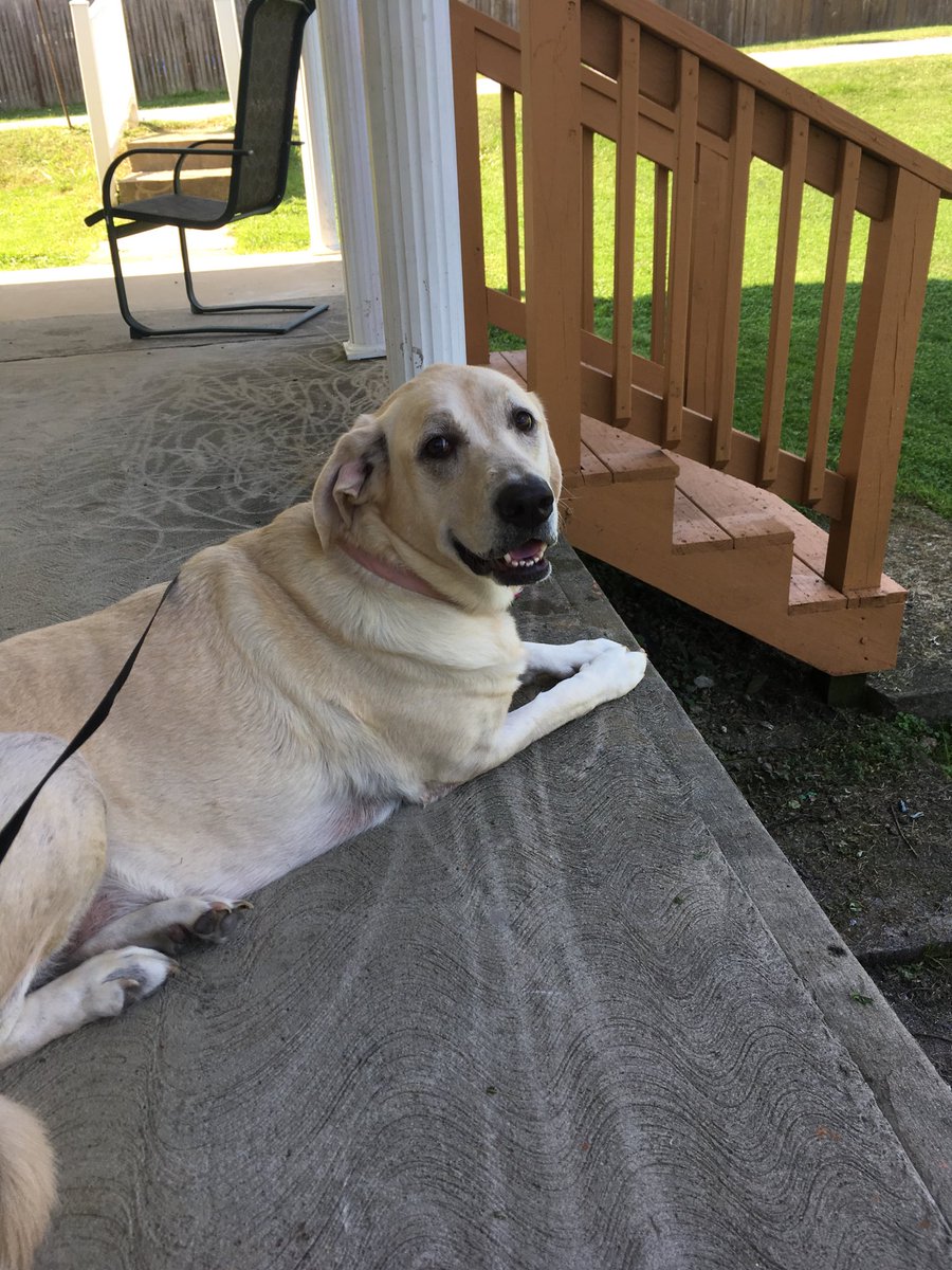 1990classof's tweet image. 