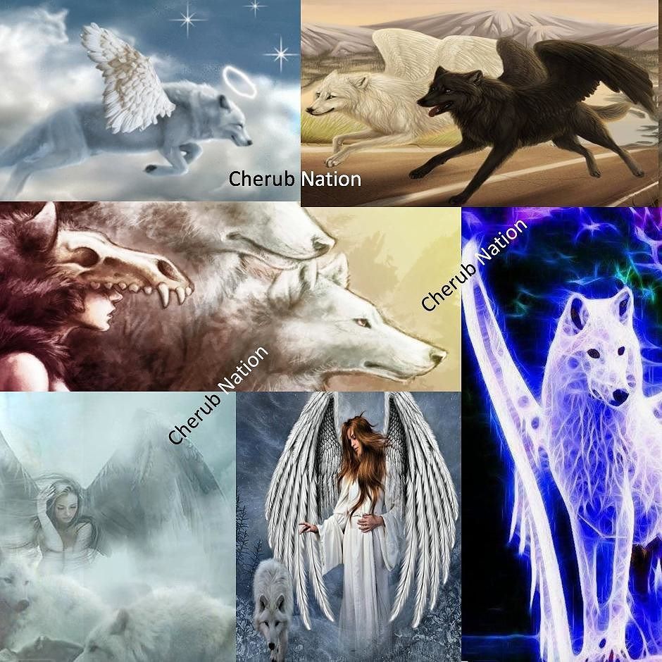 Spirit_Valley_'s tweet photo. #spiritangels #spiritwolf #animalspirit #nativemerican #guardian #angelsamongus #wings #soar #riseabove https://t.co/Z3tj9FPqgF https://t.co/b0tEbHvQaq