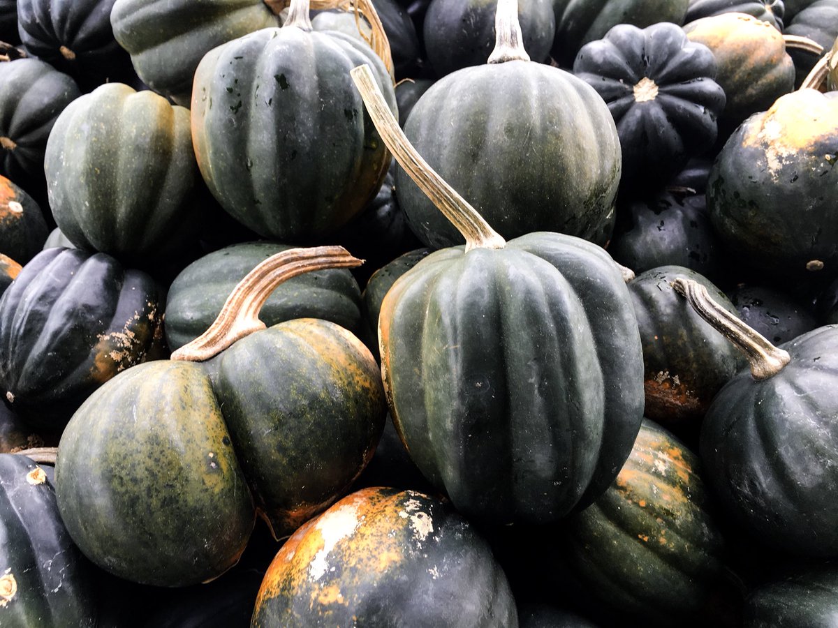What is your favourite way to eat Acorn Squash? #soup #sidedish #alacarte #FallDelish