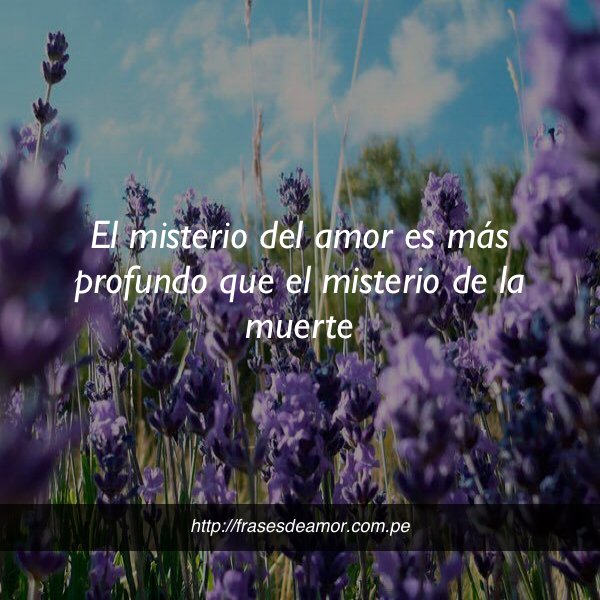 frasesDamorr2's tweet photo. El misterio del amor es más profundo... #frasesdeamor https://t.co/AtWIH6O2wH https://t.co/slcdSzQDdn