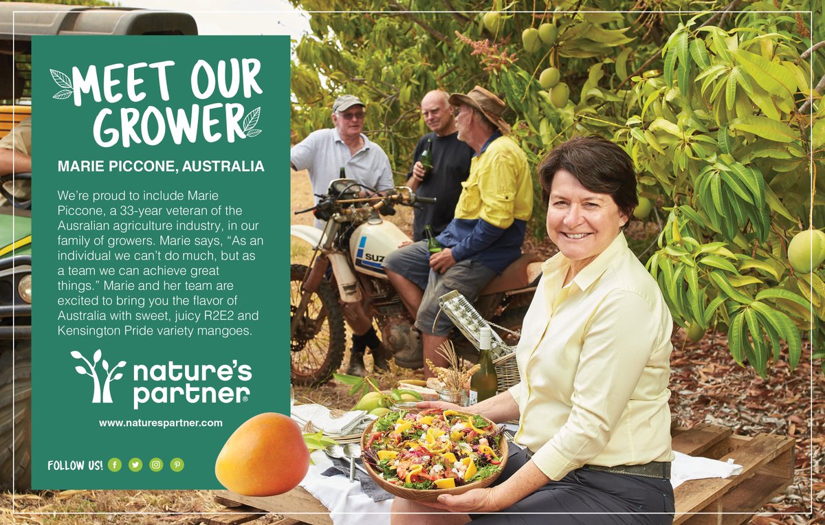 kharris1001's tweet photo. Great @pma #freshsummit2017! Proud to be joining w/@ManbullooMango for introduction of the #Kensington Pride and #R2E2 #Australian mangoes! https://t.co/6xiKnbLjDG