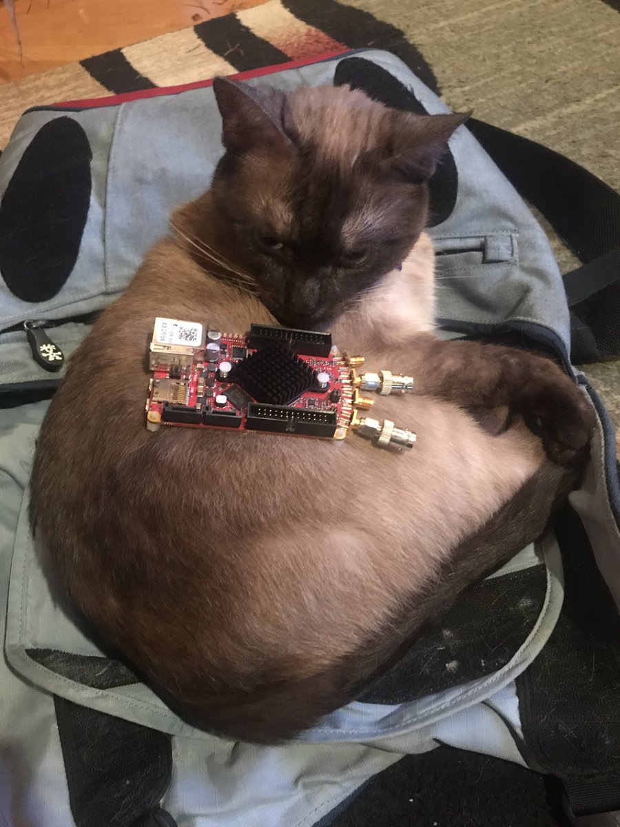 Emmy is working on her <a href="/RedPitayaCom/">Red Pitaya</a> FPGA