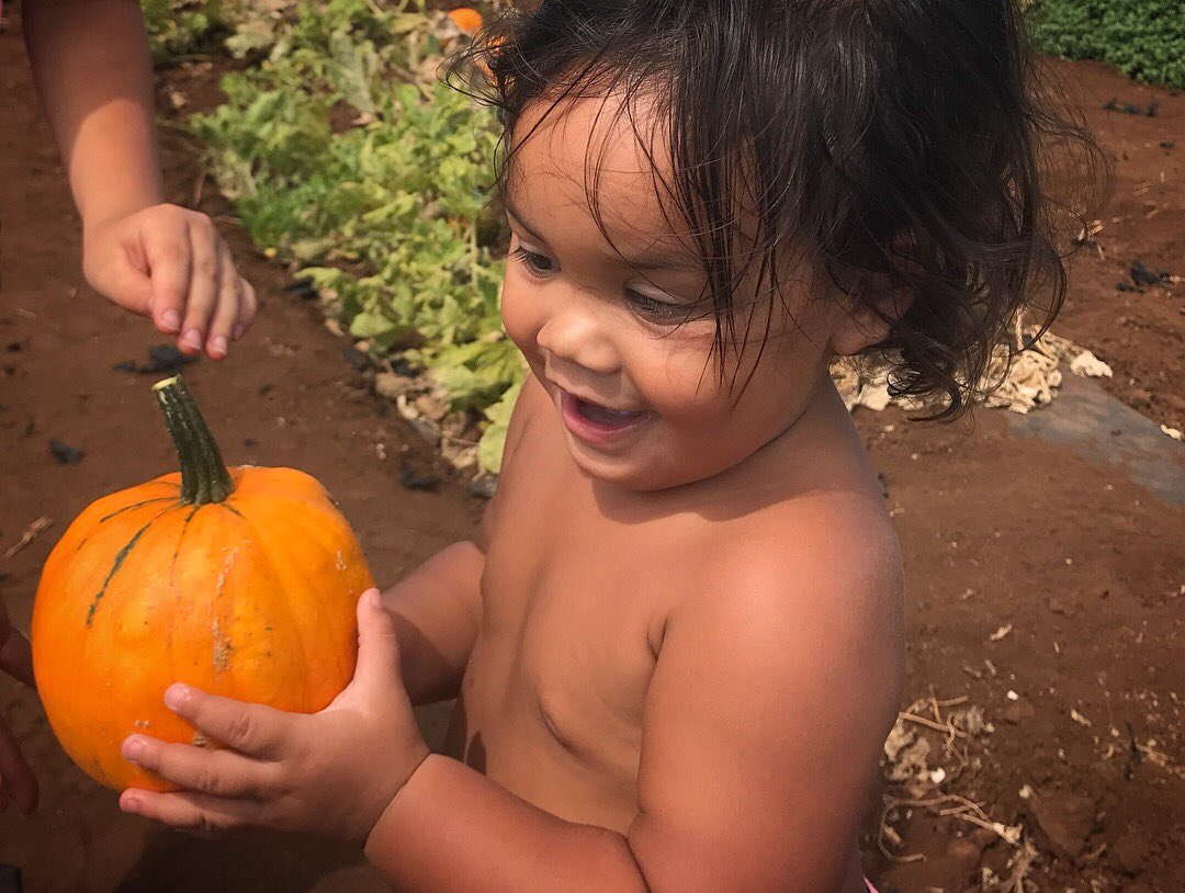 Nmaukele's tweet photo. Aloun Farms 2017 🌻❤️🎃
#PumpkinPatchin’ https://t.co/YotcfsnPt5