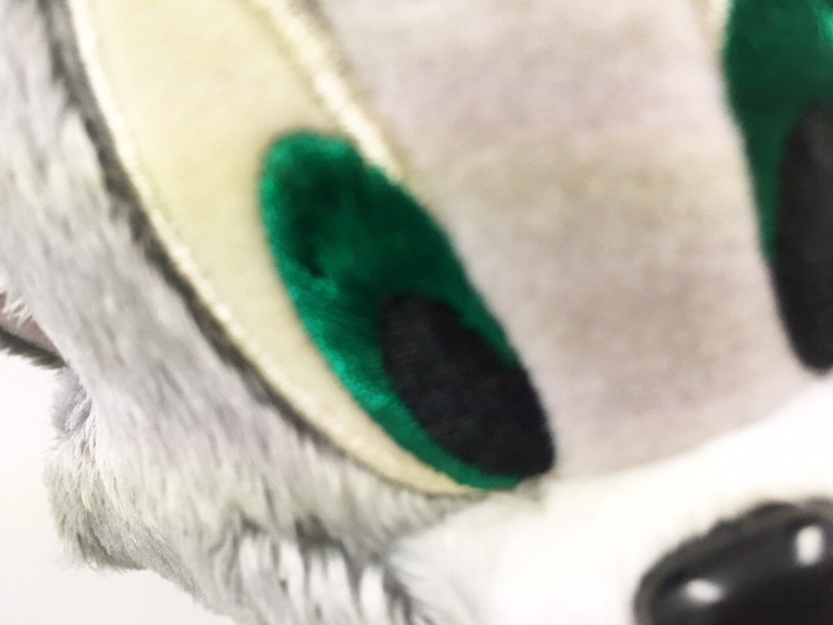 TomAndJerry_JP's tweet photo. トムのキレイな目をアピールしたかった結果…🐱🔎

#ねこの写真へたくそ選手権
#トムとジェリー https://t.co/hXaYCuV115