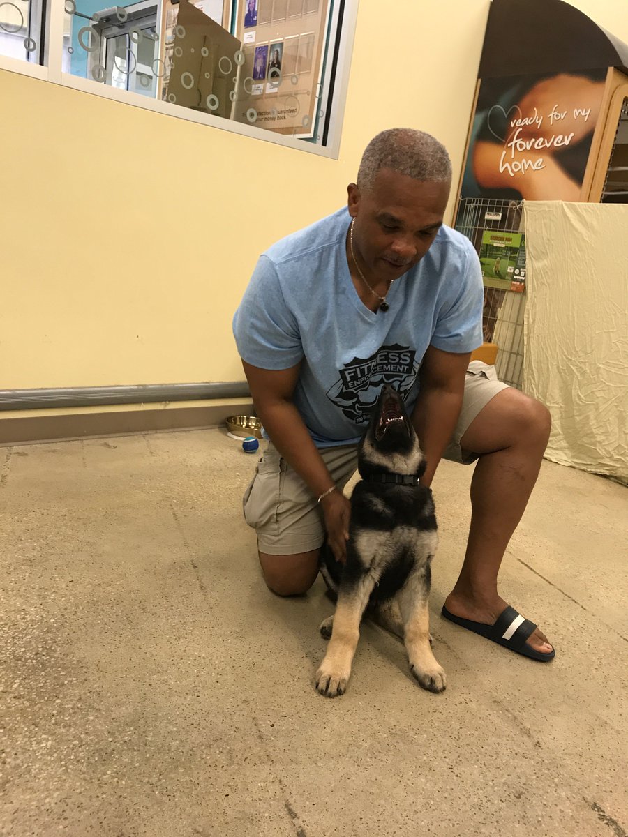 I'm getting training for my new German Sheppard Jet who's 3 months old