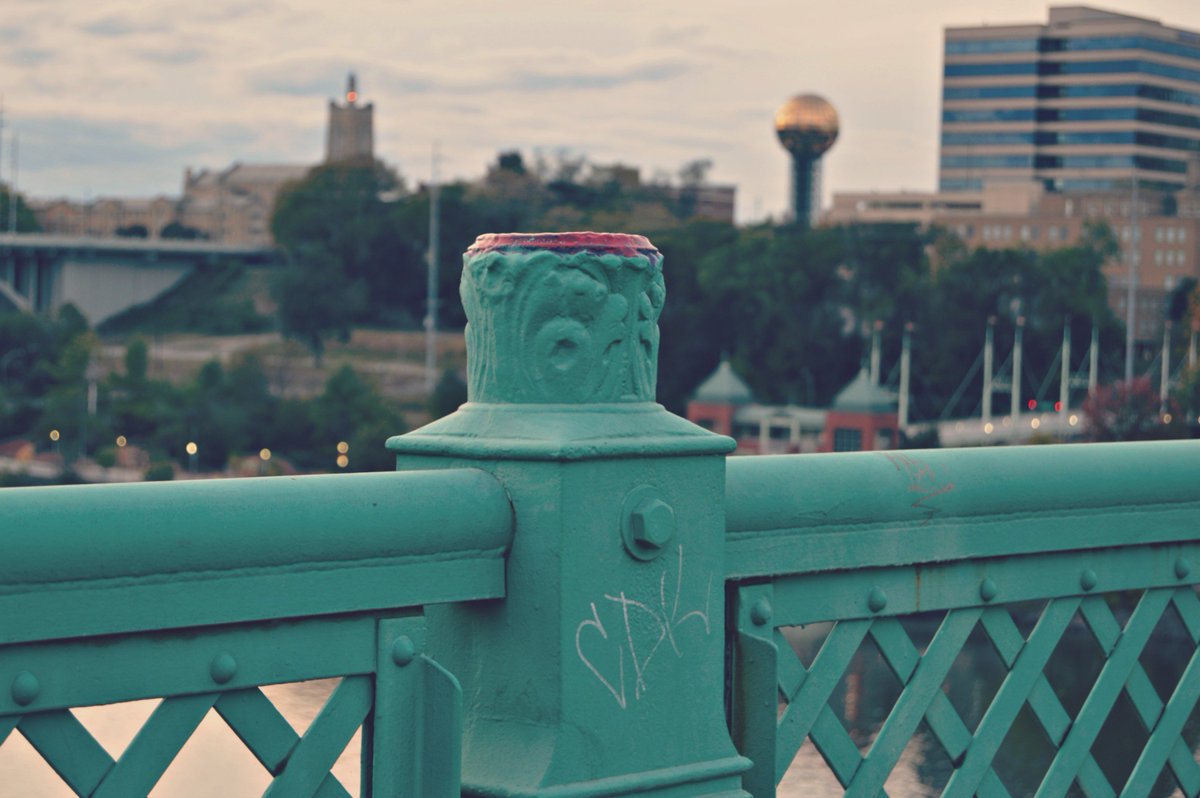 amanda_clicks's tweet photo. #gaystreet #knoxville #knoxify #865life #visitknoxville #knoxrocks #scruffyknox #photography #nikon #gaystreetbridge #sunsphere https://t.co/MfDgOYu4Qv
