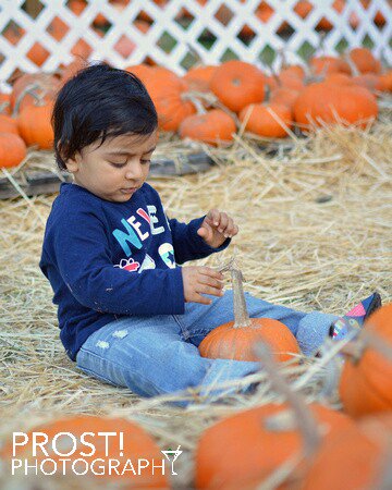 PROSTphoto's tweet photo. It's fall, y'all! #pumpkinpatch #photography #portrait #hirelocal #gainesville #Florida #prostphotography https://t.co/yIrlNA36au