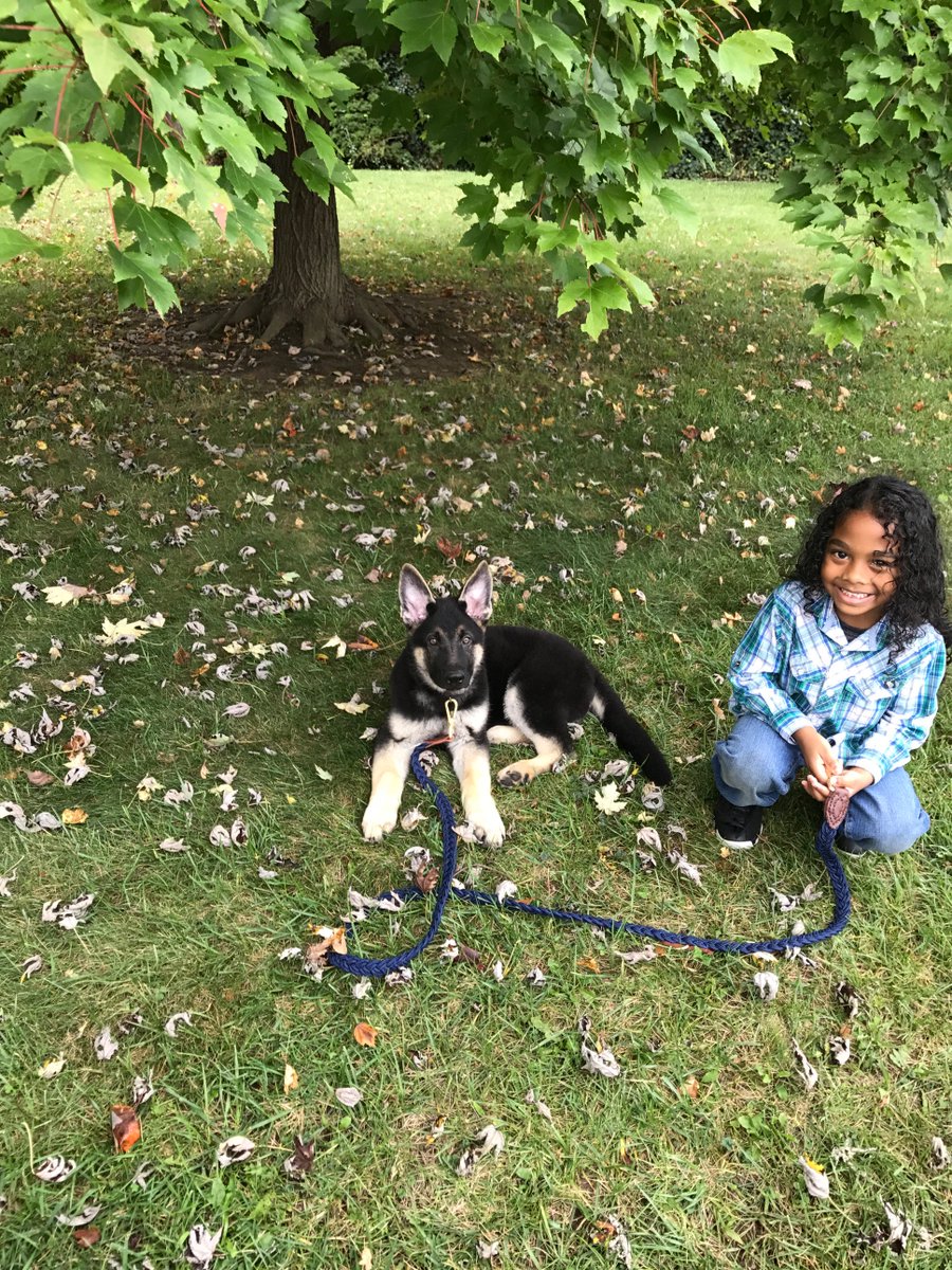 My grandson loves Jet