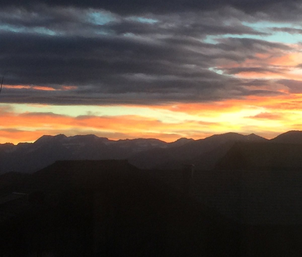 Matthew Momberger tweet media