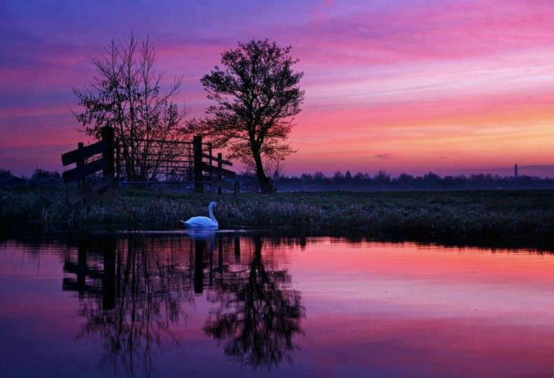 tina_baines's tweet photo. Good night and sweet dreams Twitter friends! May you have a wonderful day, evening or night wherever you call home... 💕

~T~ https://t.co/WluiPUVpuW