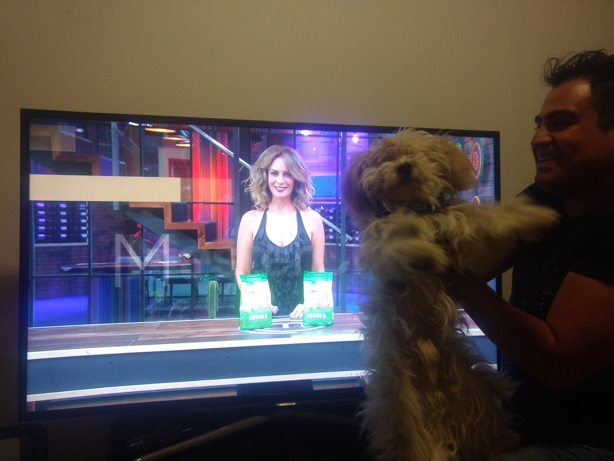 pipej12's tweet photo. #MasterChefMx https://t.co/Yf2dTvPR5Y