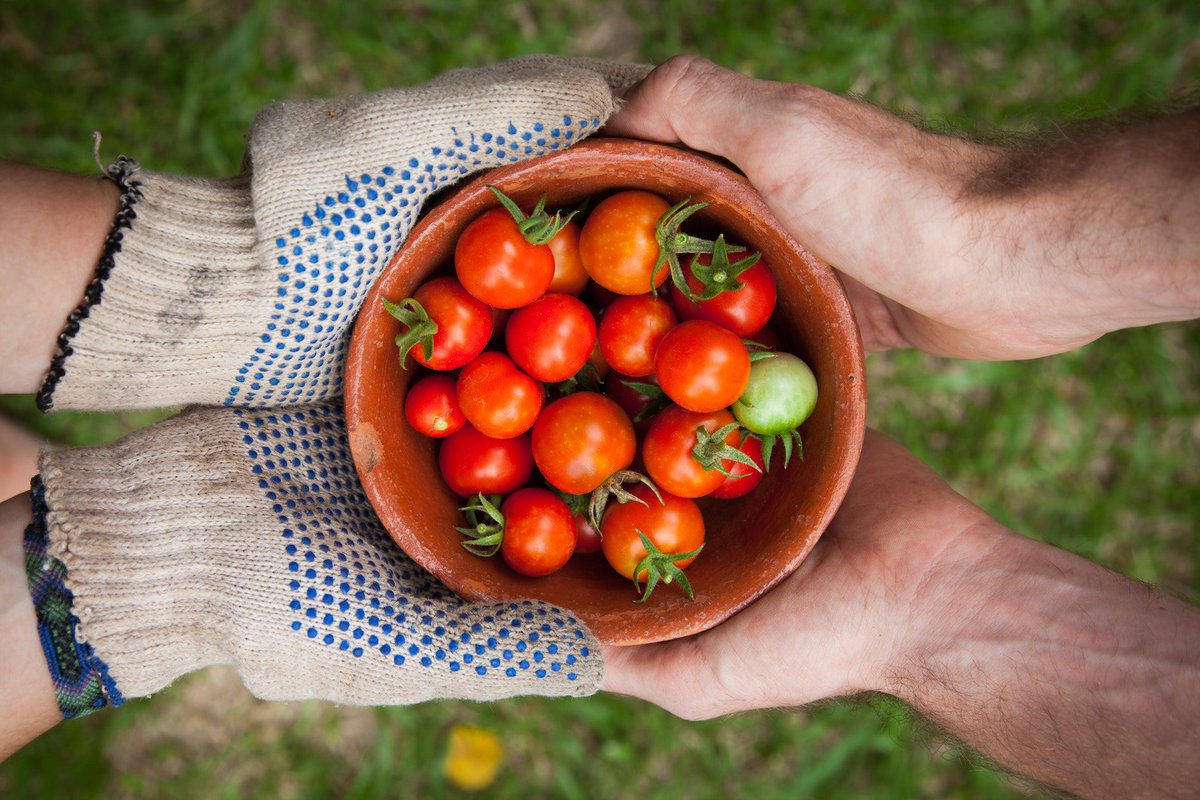 #sharesunday be sure to check out this article ow.ly/VLbd30g3sAv #aglendinggroup #farmfinance #farming #agriculture #balancesheet