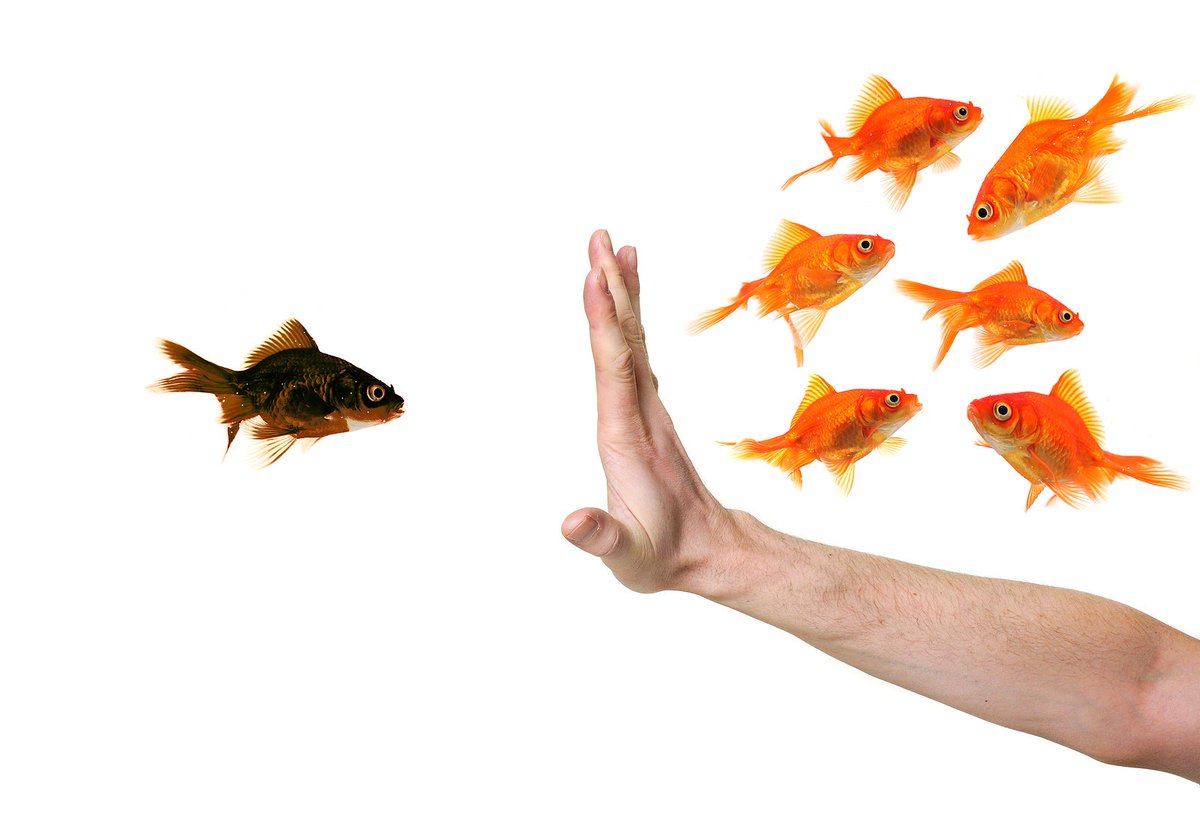 MrsTwentyTom's tweet photo. @MCaselyHayford @MASieghart 7 #palemale reasons your Marketing Team is not as Strong as You Think it Is via @dailymuting #diversitytips https://t.co/zRxyuJ3lg1