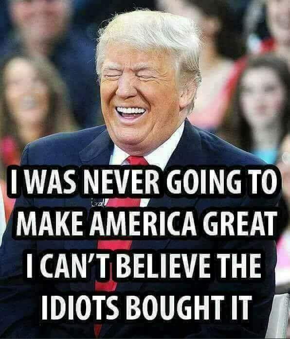 WaywardToadSage's tweet photo. #WhiteSupremacistsInChief #DraftDodgerInChief #LiarInChief #ImpeachTrumpPenceNow #25thAmendmentNow #Resist https://t.co/7MzOV96bpp