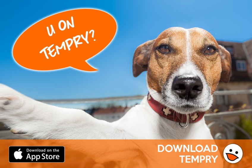 TempryApp's tweet image. We've now reached more than 5,000 shared posts on Tempry since launch! Yay! 🎉 Thanks to everyone who's joined us so far. #Tempry