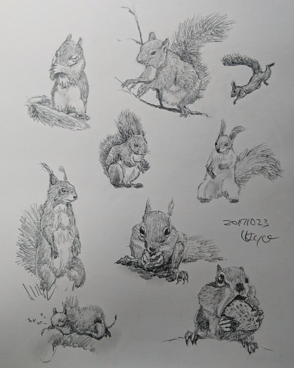 Kagetsu Ukyo 卯京 華月 今日の落書き リスづくし 落書き 鉛筆画 練習 息抜き 素描 一日一絵 今日の落書き 絵描き 脊椎動物 哺乳類 リス 栗鼠 絵描きさんと繋がりたい 絵描きの輪 絵描き人 絵描きイラスト置き場 イラスト王国 Kagetsu Ukyo 卯京 華月 今日の落書き リスづくし 落書き 鉛筆画 練習 息抜き 素描 一日一絵 今日の落書き 絵描き 脊椎動物 哺乳類 リス 栗鼠 絵描きさんと繋がりたい 絵描きの輪 絵描き人 絵描きイラスト置き場 イラスト王国