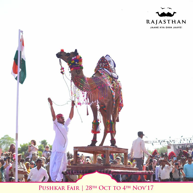 TrojanHoliday's tweet photo. Book your amazing #Rajasthan #tour #package with Trojan Holidays &amp; get best offers on all tour packages. 
For more info:-
Mob- 011-42533333 https://t.co/le5kXZ9HMm