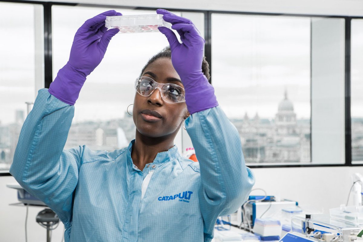 CGTCatapult's tweet photo. Read about #UniversalCells plan to create a universally accepted cell line for off-the-shelf use - https://t.co/TnIGQajTlm https://t.co/5DB0pSt2l7