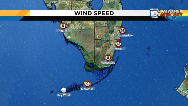 The wind is gradually becoming lighter today but it is still breezy. #BreezyMonday #flwx https://t.co/BCQJTfW5kY