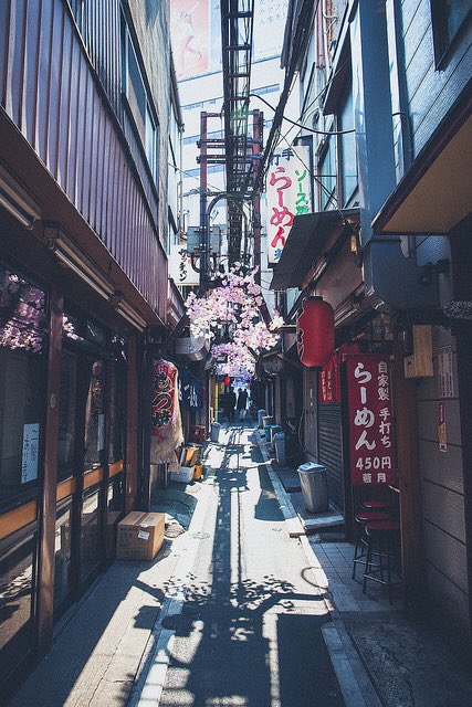 MateCute's tweet photo. Tokyo, Japan 🇯🇵 https://t.co/NetGtTkmPF