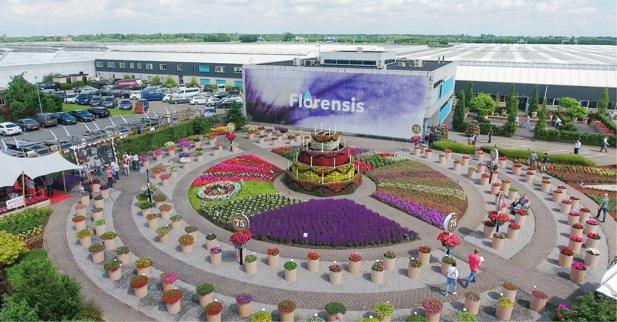 Florensis tweet media