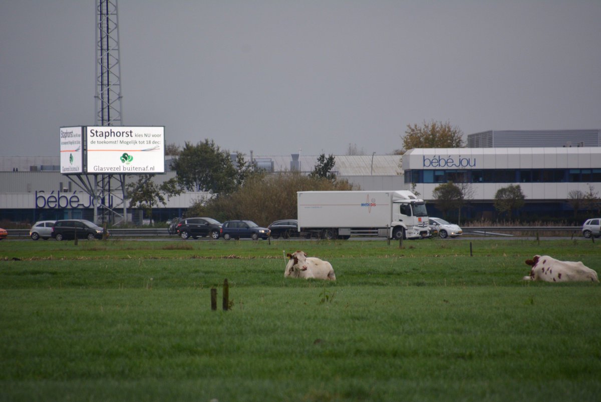 A28StaphorstMedia tweet media