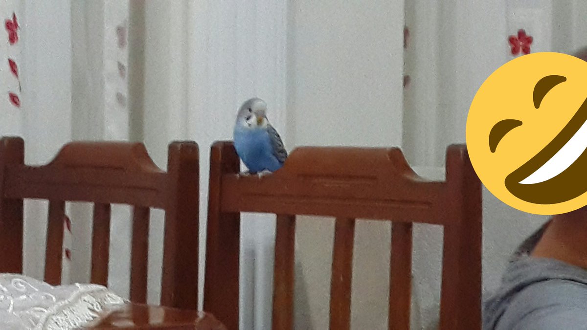 Black yondu (@blackyondu) on Twitter photo 