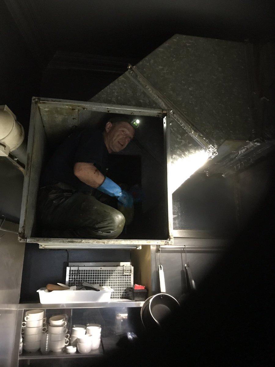 Buffalo deep cleaning by RE hygiene 👌