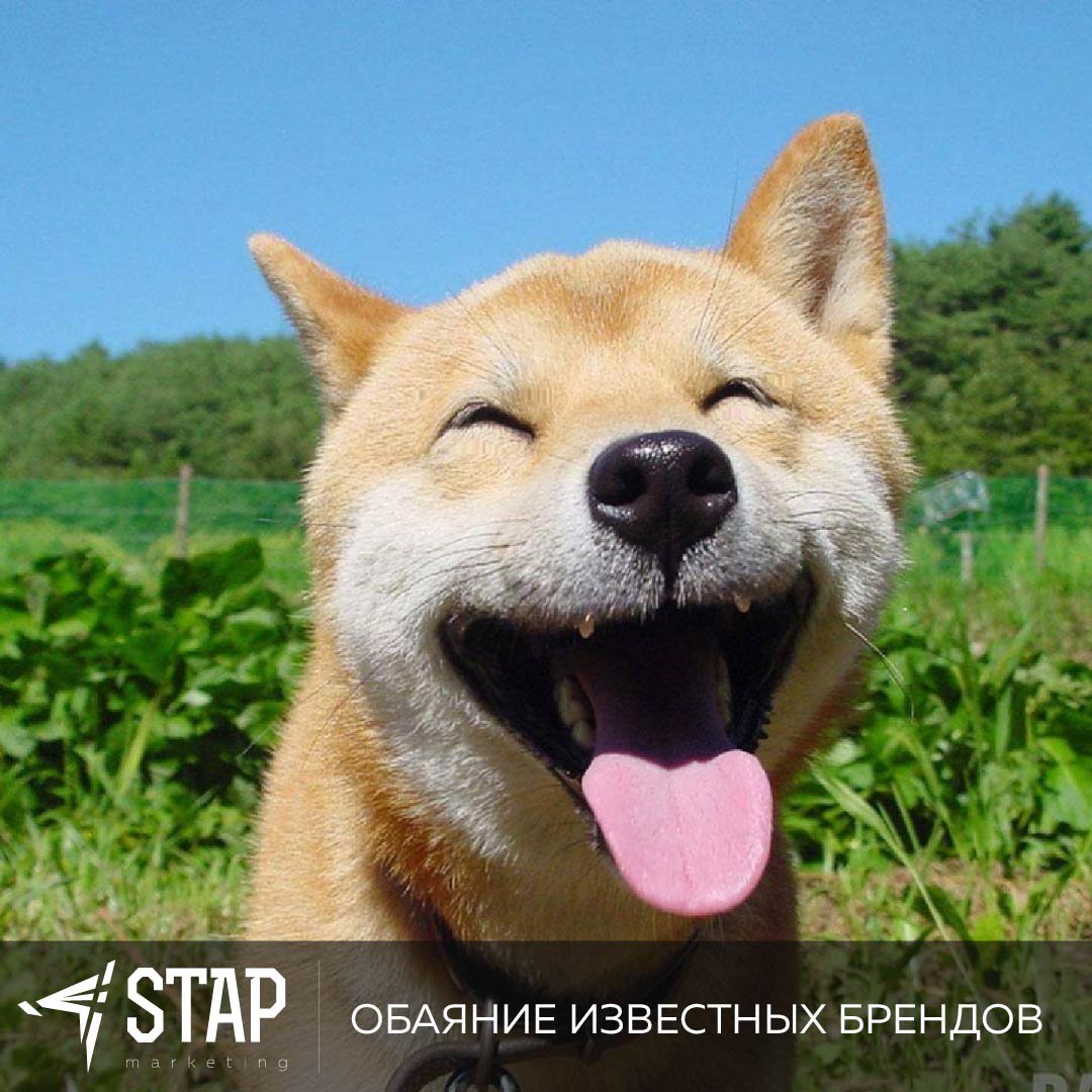 STAPproject tweet picture