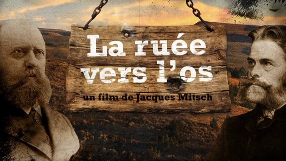 MuseeAquitaine's tweet photo. Encore des films avec @icronosafifa1! Paléontologie et archéo préhistorique mercredi 25 à 14h, 15h15, 16h et 17h10 > https://t.co/UNnrbxkcU2 https://t.co/JhvmPVKX3V