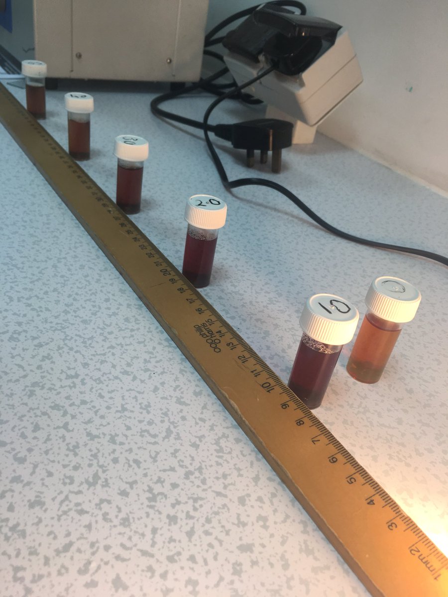 lindsaywilgrove's tweet photo. Great results- how light intensity affects the rate of photosynthesis @EdexcelScience @JESSScienceDept #Corepractical #JESSEnquiry https://t.co/t8VVP8YhXm