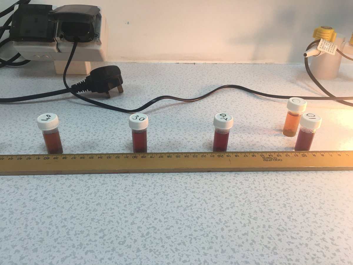lindsaywilgrove's tweet photo. Great results- how light intensity affects the rate of photosynthesis @EdexcelScience @JESSScienceDept #Corepractical #JESSEnquiry https://t.co/t8VVP8YhXm