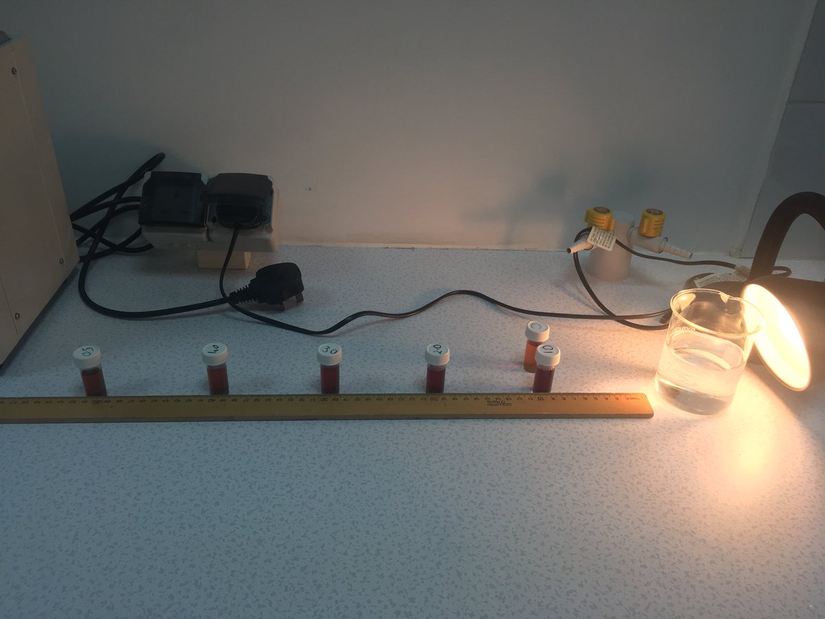 lindsaywilgrove's tweet photo. Great results- how light intensity affects the rate of photosynthesis @EdexcelScience @JESSScienceDept #Corepractical #JESSEnquiry https://t.co/t8VVP8YhXm