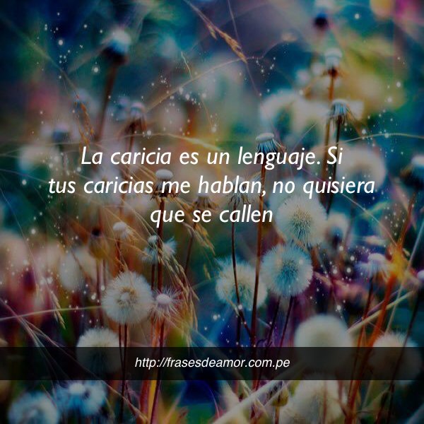 frasesDamorr2's tweet photo. La caricia es un lenguaje #frasesdeamor https://t.co/AtWIH6O2wH https://t.co/dhWx5aZxKC